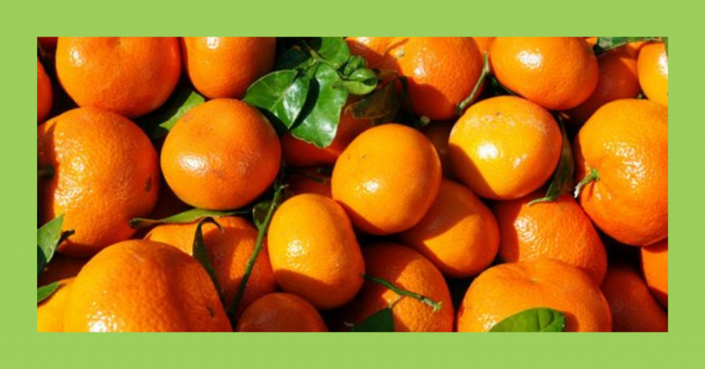 Kinnow (Mandarin Hybrid) - Exotic Fruits Grown In Rajasthan