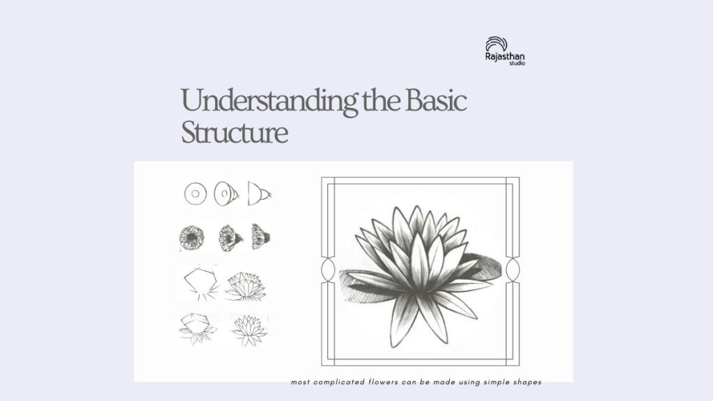 Understanding the Basic Structure - Floral Illustrations & Floriculture: Art In Science