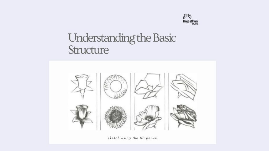 Understanding the Basic Structure 