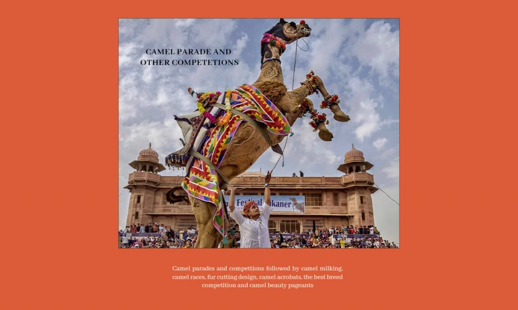 Parade and other competitions - Bikaner Camel Festival 2021 Is Round The Corner - We're Thrilled!