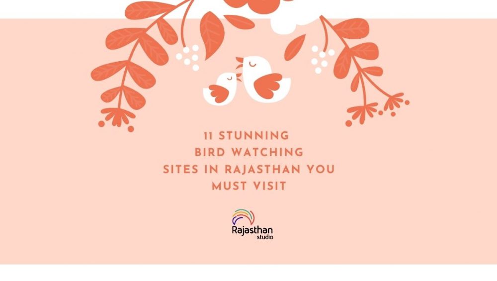 11 Stunning Bird Watching Sites In Rajasthan You Must Visit