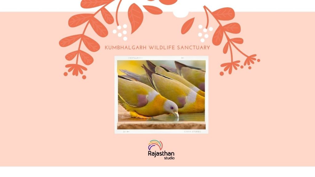 Kumbhalgarh Wildlife Sanctuary - 11 Stunning Bird Watching Sites In Rajasthan You Must Visit