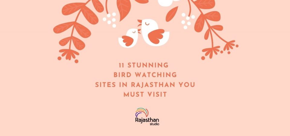 11 Stunning Bird Watching Sites In Rajasthan You Must Visit