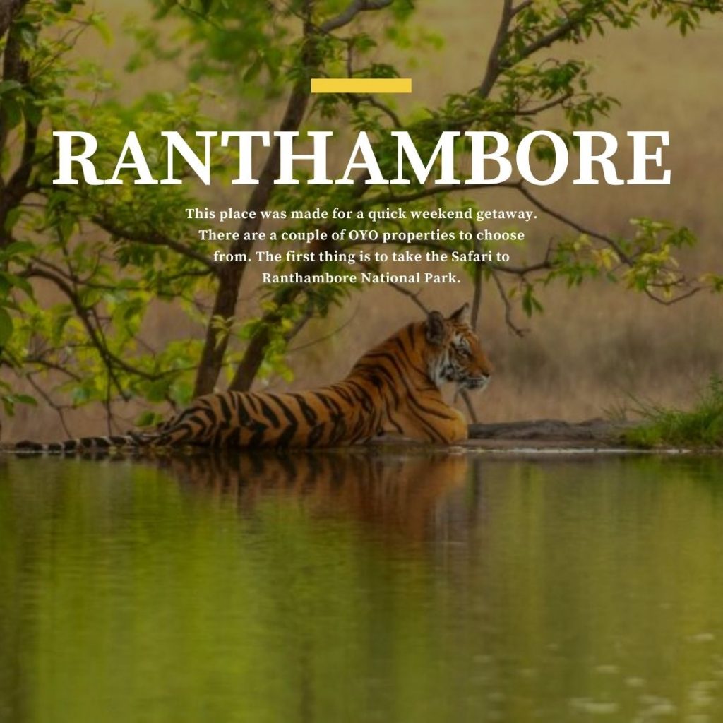 If you are a fan of art then visit the Ranthambore Schools of Art for an informative stroll. 