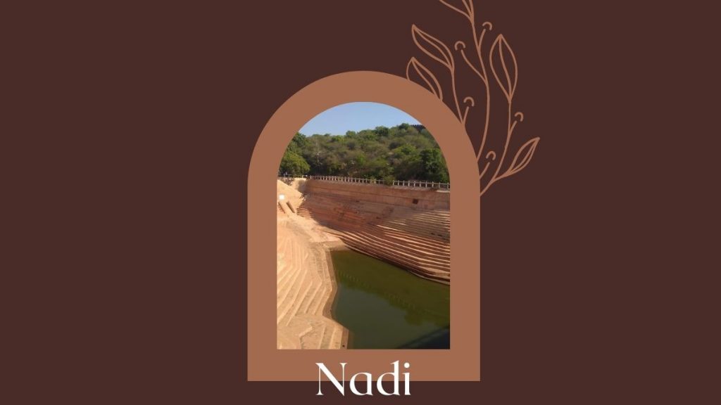 Nadi - Rainwater Harvesting In Rajasthan