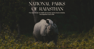 National Parks of Rajasthan