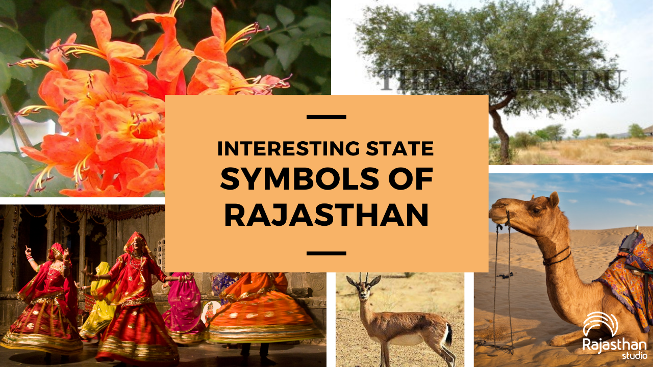Know About Interesting State Symbols of Rajasthan - Rajasthan Studio