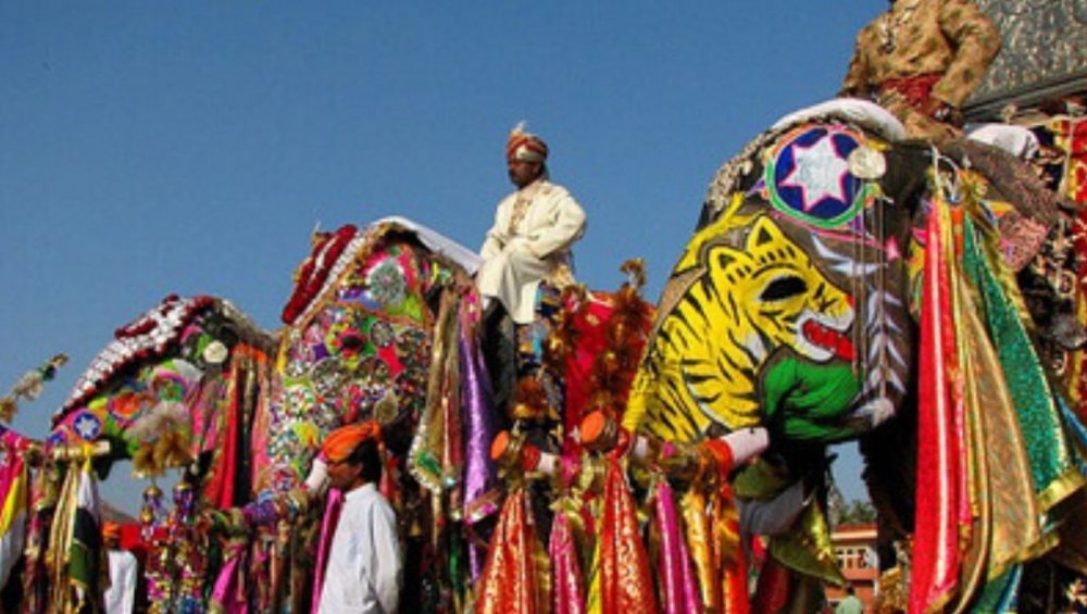 elephant festival