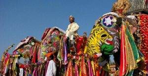 elephant festival