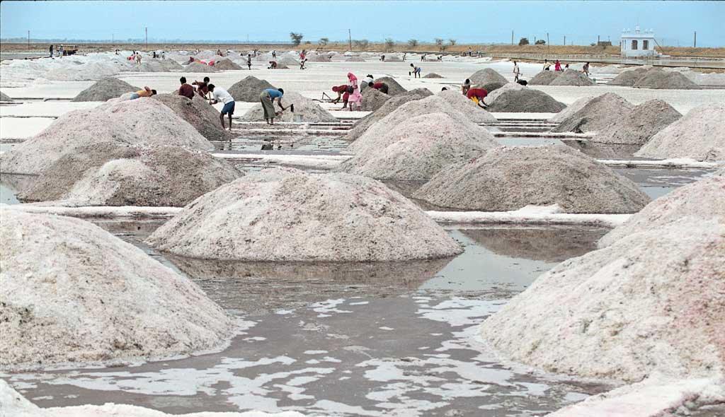 salt flats in sambhar